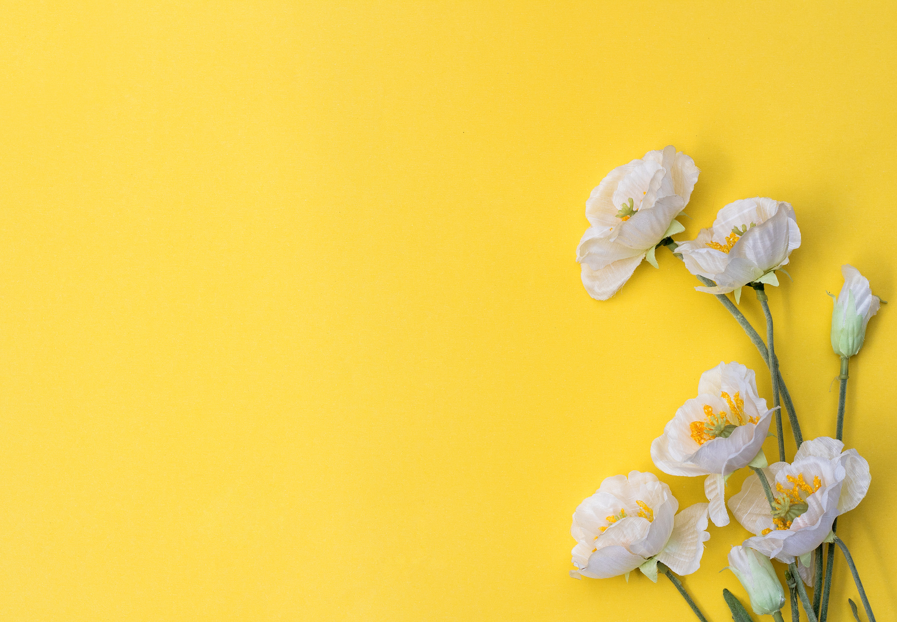 White-yellow flowers on yellow background