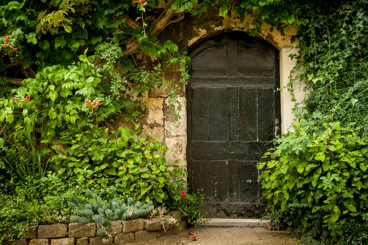 Secret Garden Door