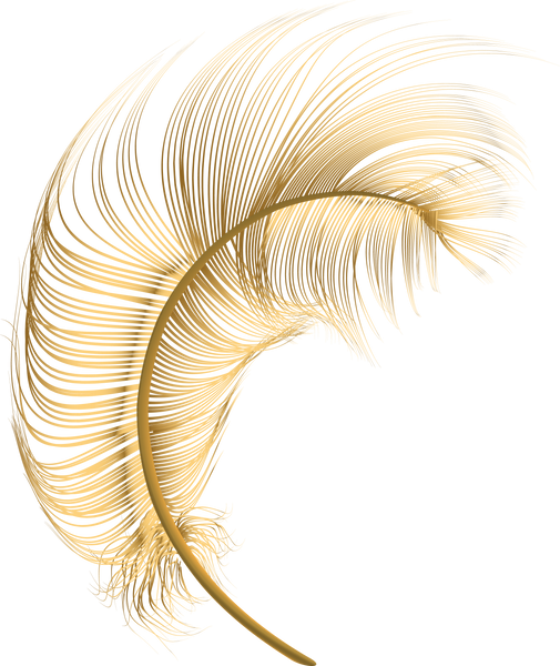 Gold feather